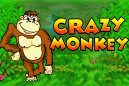 Автомат Crazy Monkey