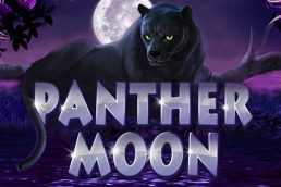 Автомат Panther Moon