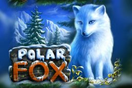 Автомат Polar Fox