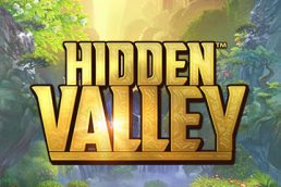 Автомат Hidden Valley