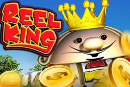 Автомат Reel King