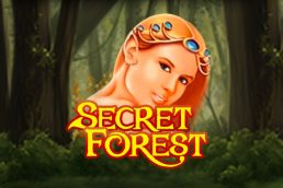 Автомат Secret Forest