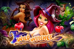 Автомат Wild Witches